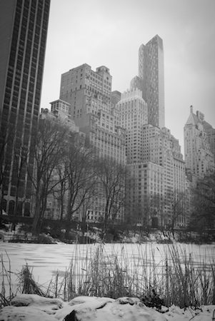 An X1 in New York City