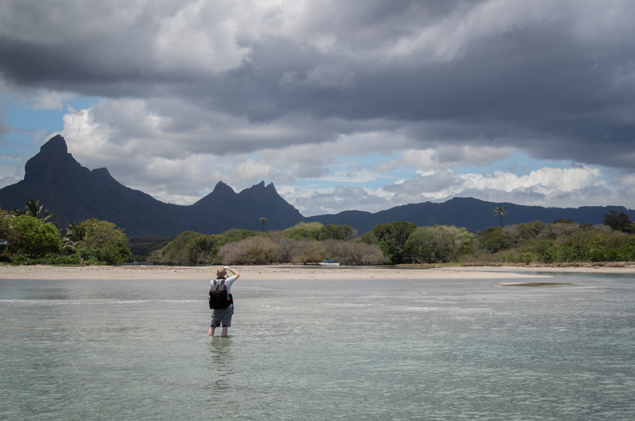 leica tl system one year on 2