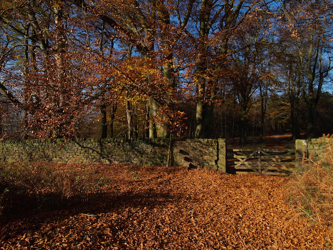 chatsworth stand wood 2