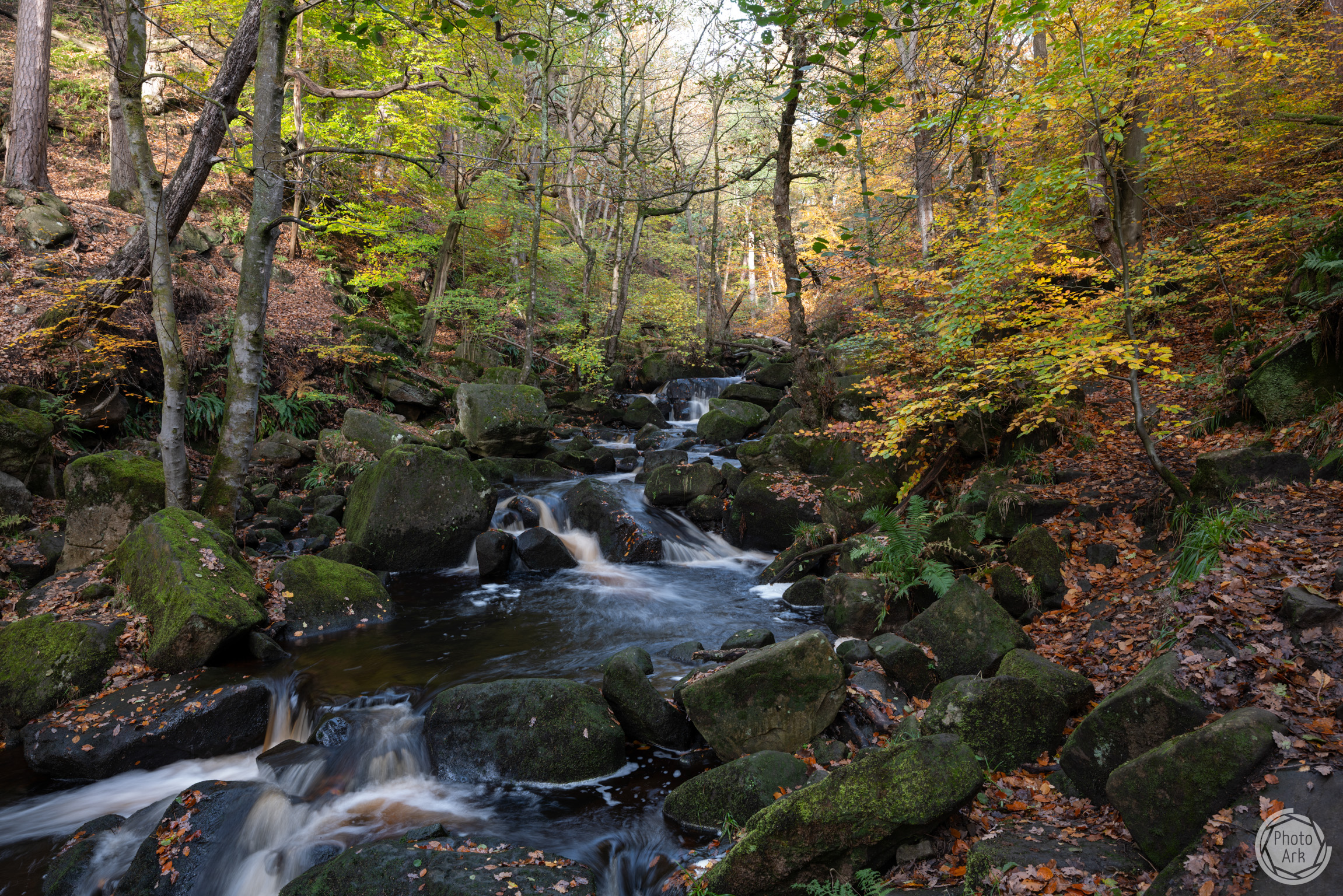 A Walk Through Padley Gorge A Walk Through Padley Gorge