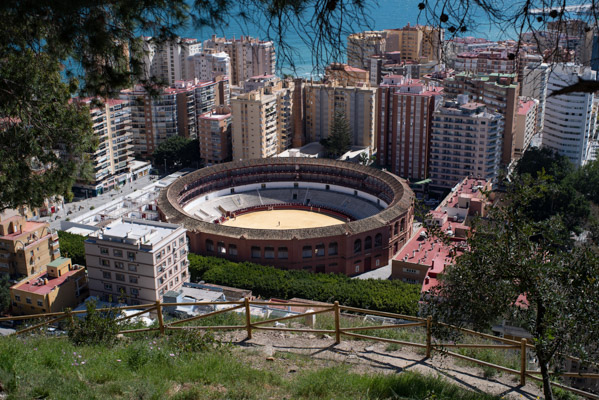 Image of the Month April 2026