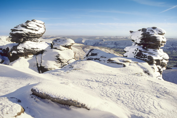 Image of the Month February 2026