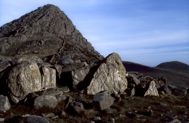 Image of the Month January 2026