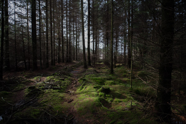 Image of the Month March 2026