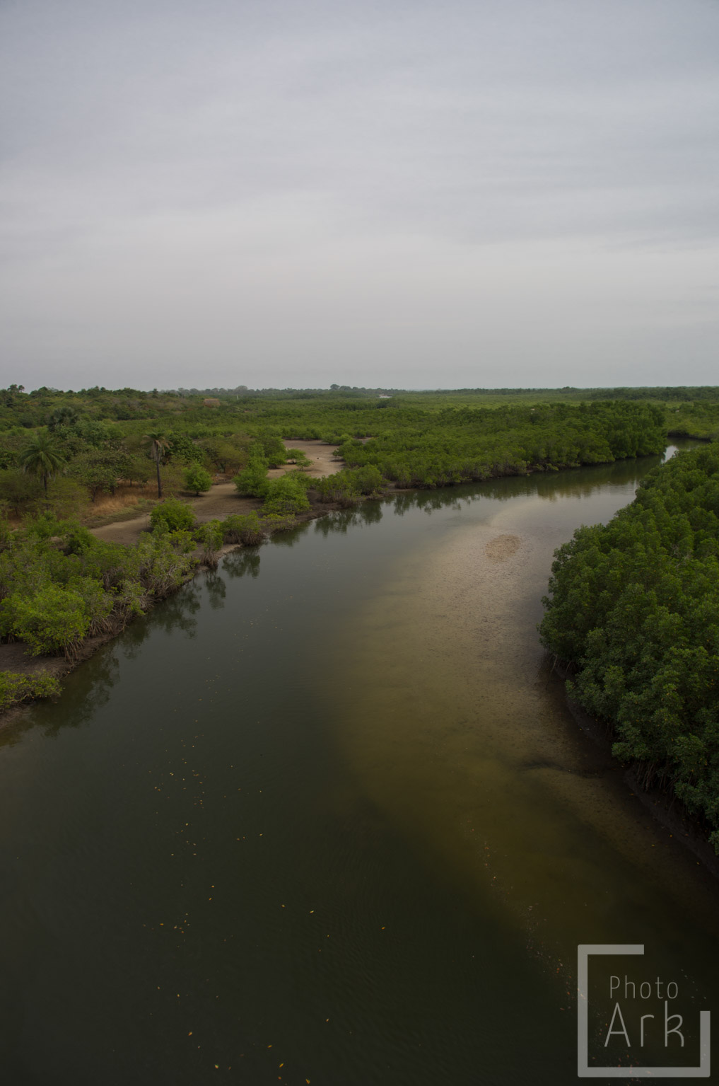 The Gambia Makasutu Culture Forest