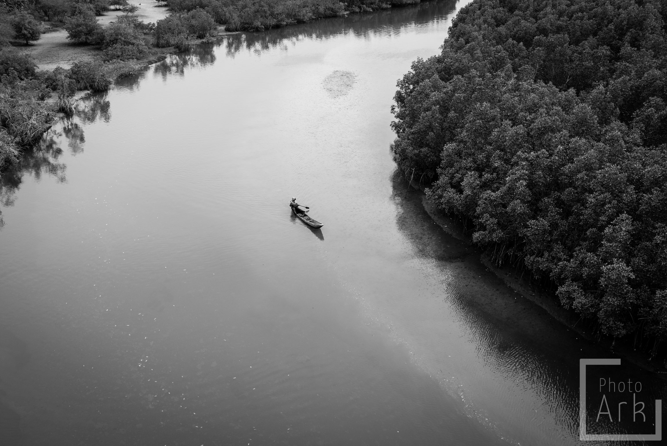 The Gambia Makasutu Culture Forest