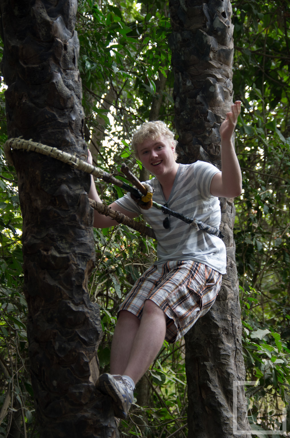 The Gambia Makasutu Culture Forest