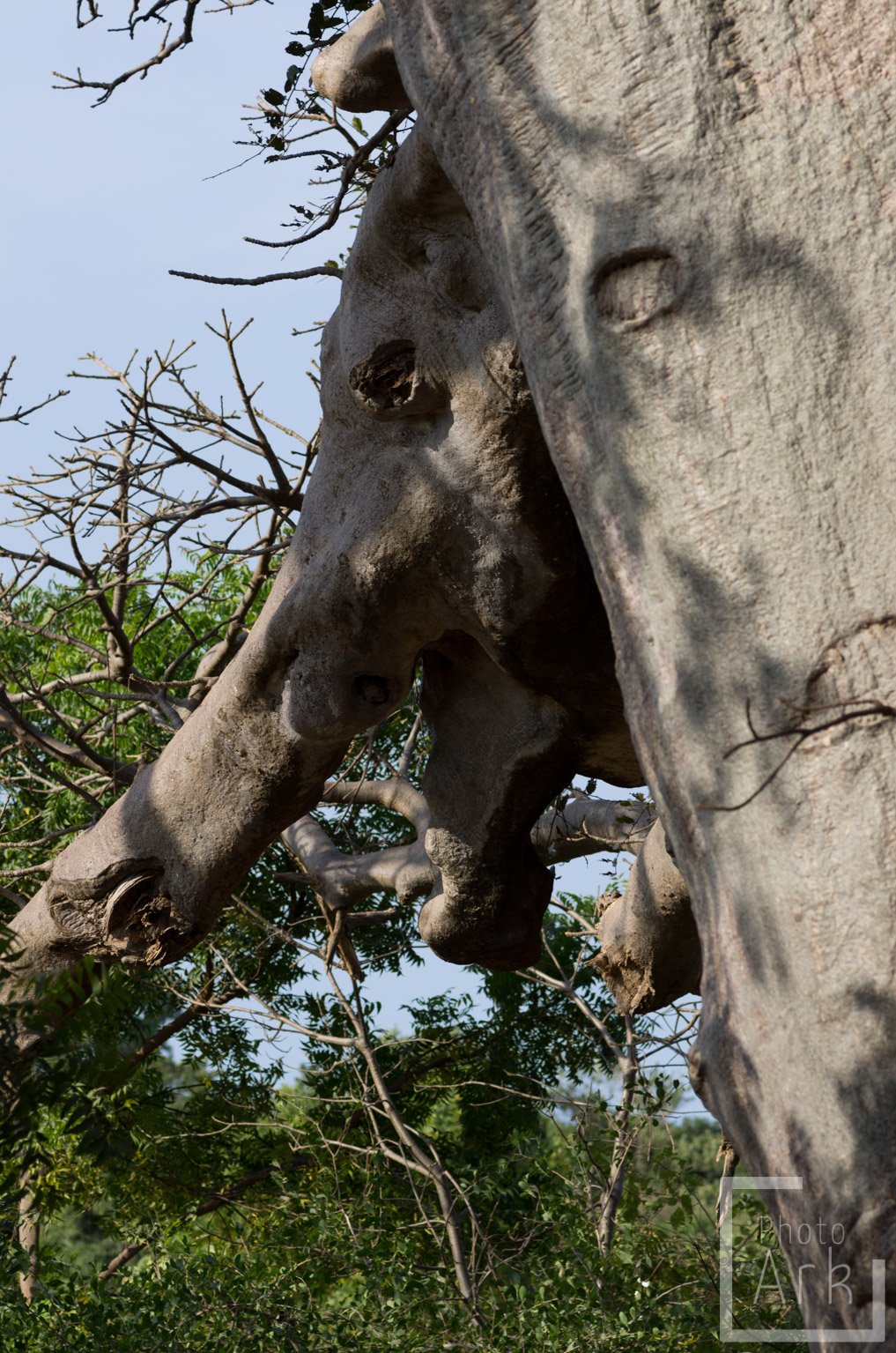 The Gambia Lamin Lodge