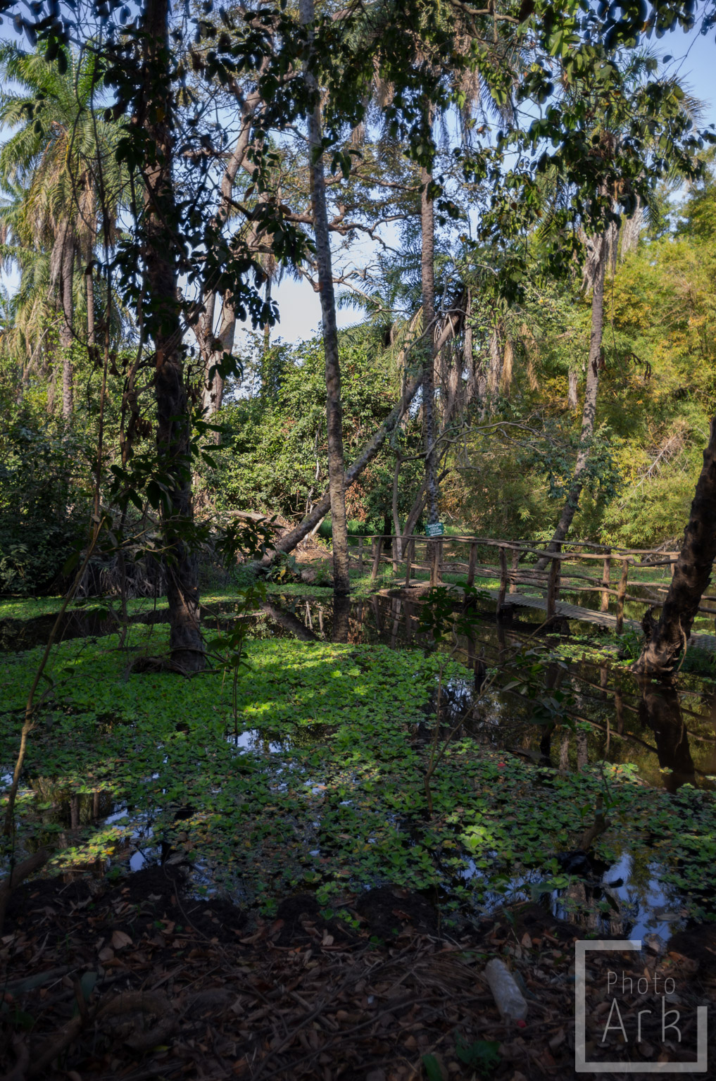 The Gambia Abuko Nature Reserve