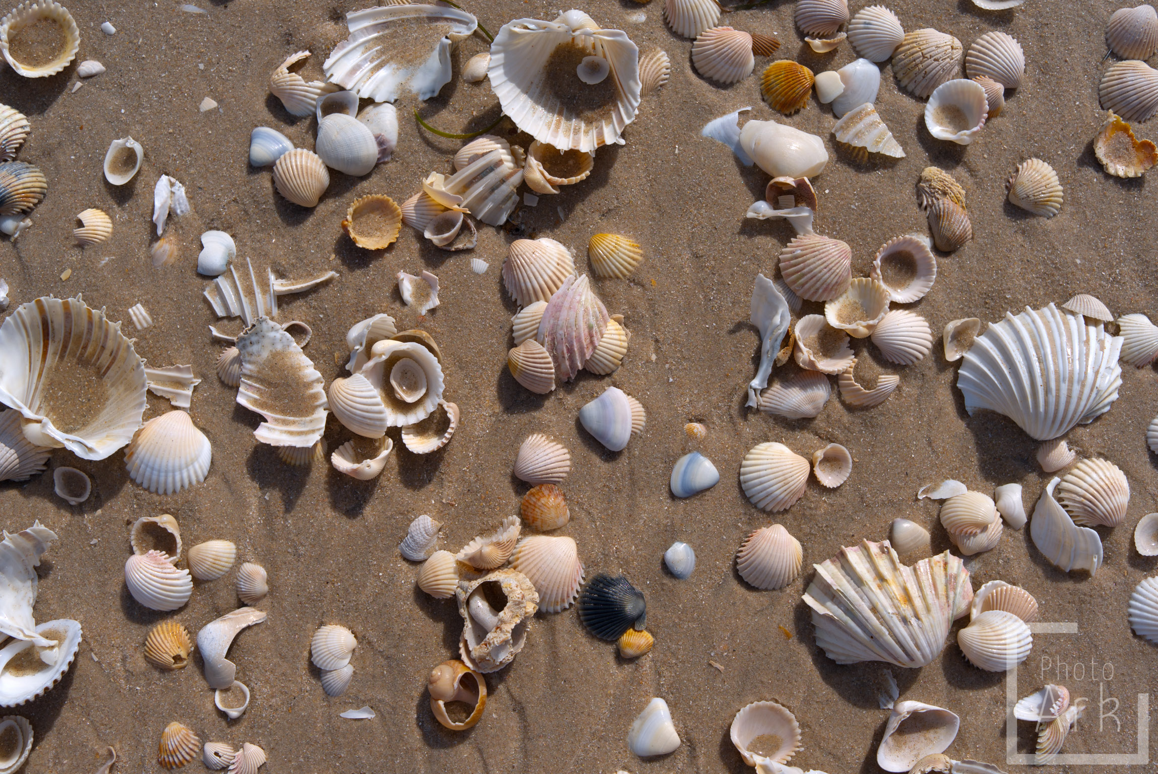 The Gambia Senegambia Beach