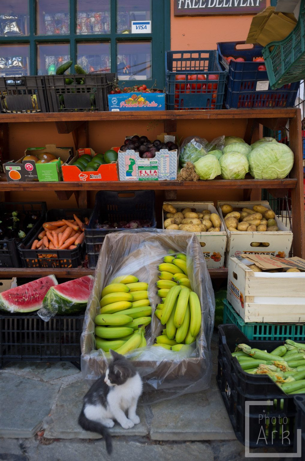 Ionian Island Walking Loggos