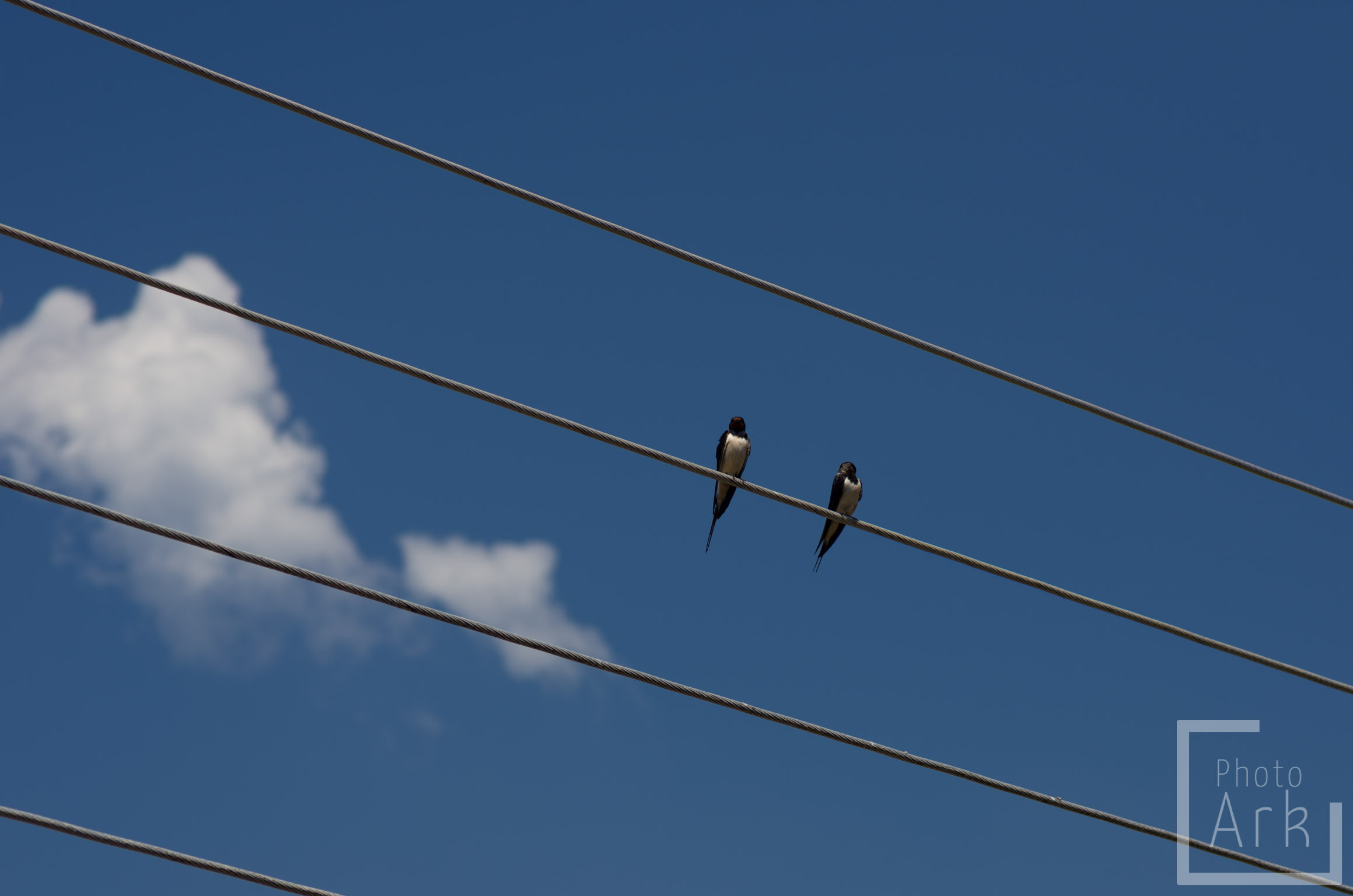 Ionian Island Walking Pendati