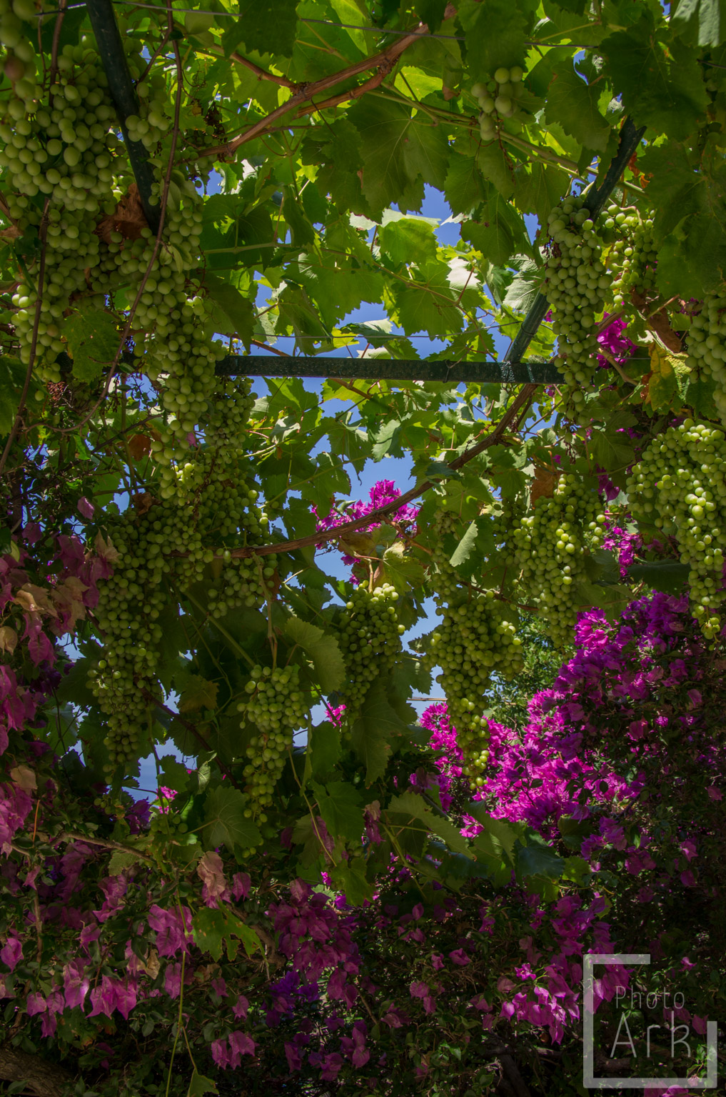 Ionian Island Walking Palaiokastritsa Monastery