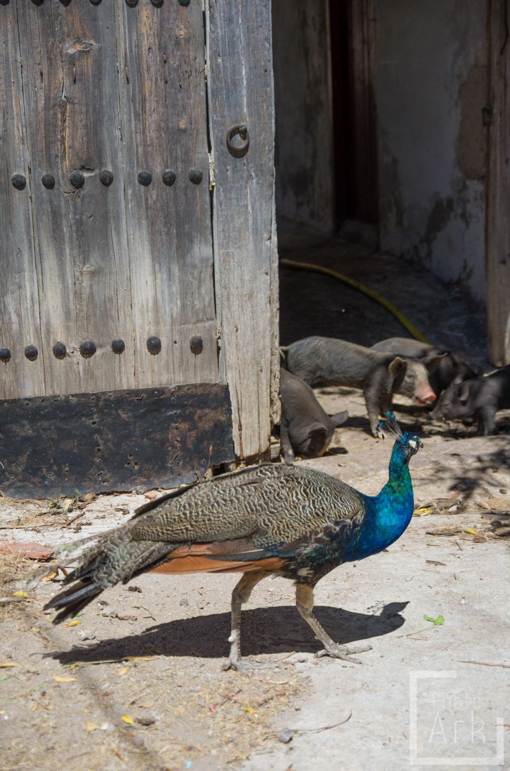 Lesvos Island Tour Limonos Monastery