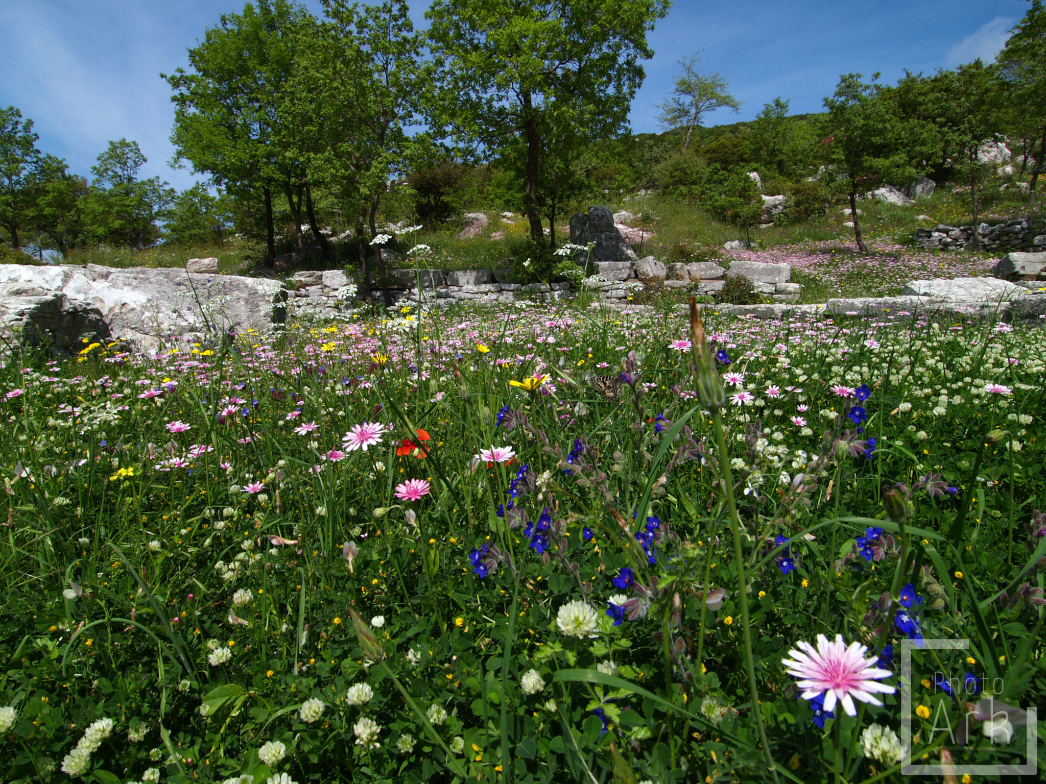 Peloponnese Road Trip Bassae